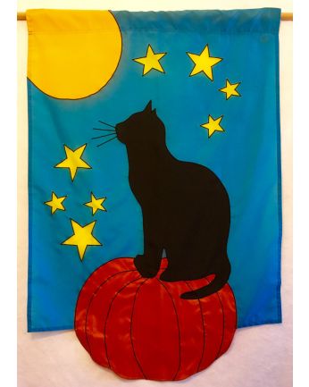 Cat on Pumpkin